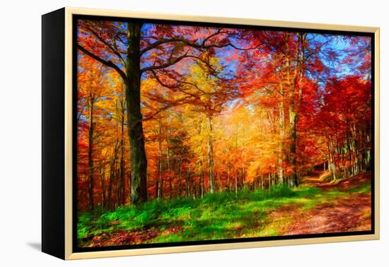 One Fine Day-Philippe Sainte-Laudy-Framed Premier Image Canvas