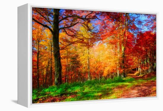 One Fine Day-Philippe Sainte-Laudy-Framed Premier Image Canvas