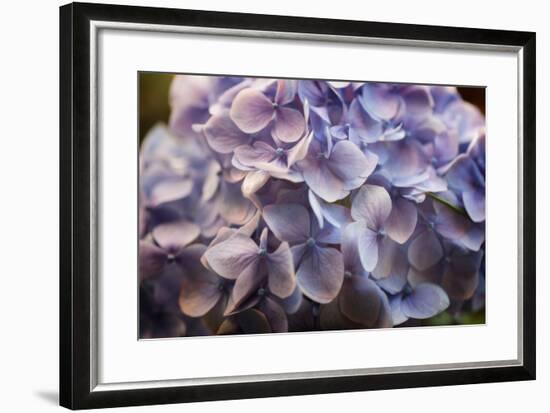 One for You-Philippe Sainte-Laudy-Framed Premium Photographic Print