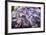 One for You-Philippe Sainte-Laudy-Framed Premium Photographic Print