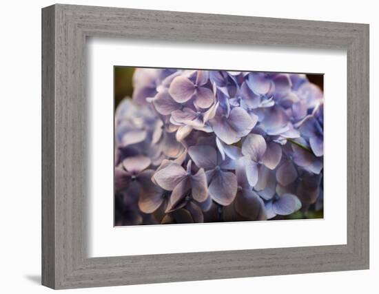 One for You-Philippe Sainte-Laudy-Framed Photographic Print