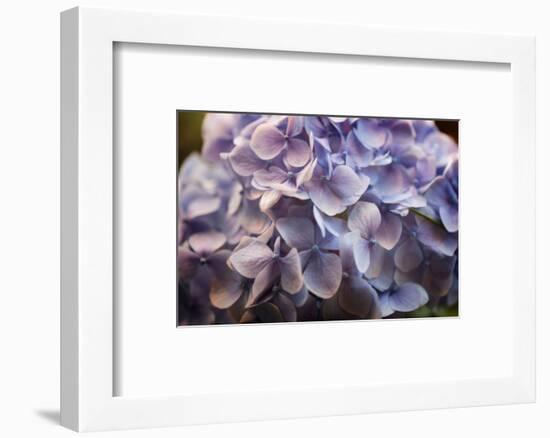 One for You-Philippe Sainte-Laudy-Framed Photographic Print