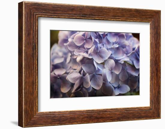 One for You-Philippe Sainte-Laudy-Framed Photographic Print