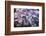 One for You-Philippe Sainte-Laudy-Framed Photographic Print