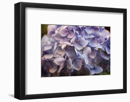 One for You-Philippe Sainte-Laudy-Framed Photographic Print