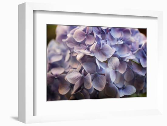 One for You-Philippe Sainte-Laudy-Framed Photographic Print