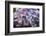 One for You-Philippe Sainte-Laudy-Framed Photographic Print