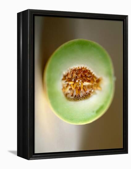 One Half of a Honeydew Melon-Chris Rogers-Framed Premier Image Canvas