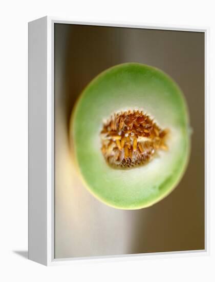 One Half of a Honeydew Melon-Chris Rogers-Framed Premier Image Canvas