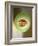 One Half of a Honeydew Melon-Chris Rogers-Framed Photographic Print