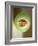 One Half of a Honeydew Melon-Chris Rogers-Framed Photographic Print