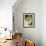 One Half of a Honeydew Melon-Chris Rogers-Framed Photographic Print displayed on a wall
