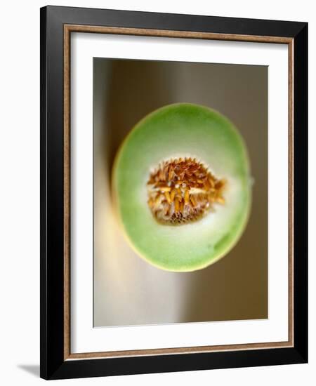 One Half of a Honeydew Melon-Chris Rogers-Framed Photographic Print