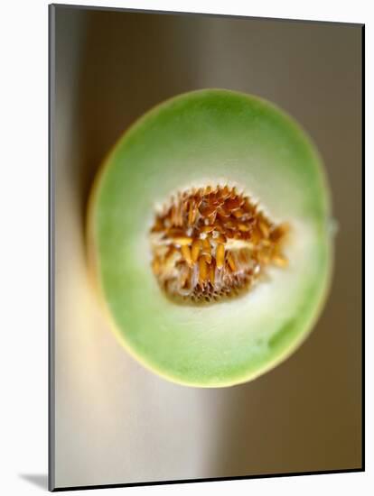 One Half of a Honeydew Melon-Chris Rogers-Mounted Photographic Print