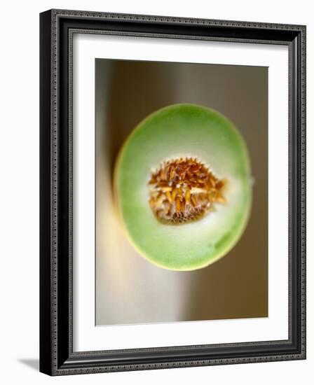 One Half of a Honeydew Melon-Chris Rogers-Framed Photographic Print