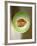 One Half of a Honeydew Melon-Chris Rogers-Framed Photographic Print