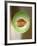 One Half of a Honeydew Melon-Chris Rogers-Framed Photographic Print