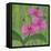 One Heart Orchids II-Herb Dickinson-Framed Premier Image Canvas