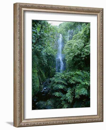 One Hundred Foot Wailua Falls Near Oheo, Hana Coast, Maui, Hawaii, USA-Robert Francis-Framed Photographic Print