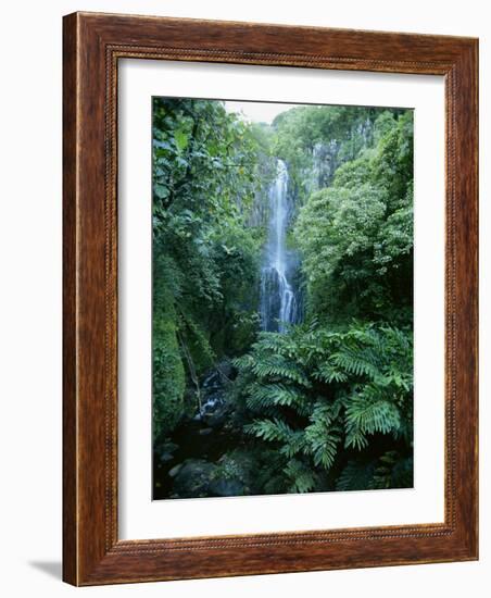 One Hundred Foot Wailua Falls Near Oheo, Hana Coast, Maui, Hawaii, USA-Robert Francis-Framed Photographic Print