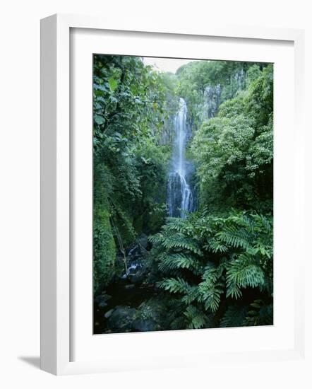 One Hundred Foot Wailua Falls Near Oheo, Hana Coast, Maui, Hawaii, USA-Robert Francis-Framed Photographic Print