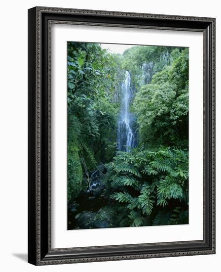 One Hundred Foot Wailua Falls Near Oheo, Hana Coast, Maui, Hawaii, USA-Robert Francis-Framed Photographic Print