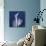 One Indigo Calla Lily-Albert Koetsier-Premium Giclee Print displayed on a wall