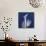 One Indigo Calla Lily-Albert Koetsier-Mounted Premium Giclee Print displayed on a wall