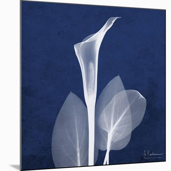 One Indigo Calla Lily-Albert Koetsier-Mounted Premium Giclee Print