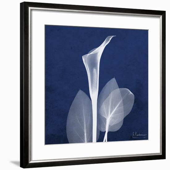 One Indigo Calla Lily-Albert Koetsier-Framed Premium Giclee Print