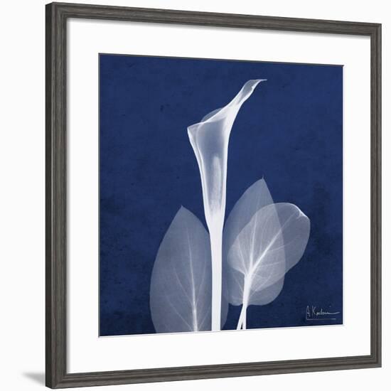 One Indigo Calla Lily-Albert Koetsier-Framed Premium Giclee Print