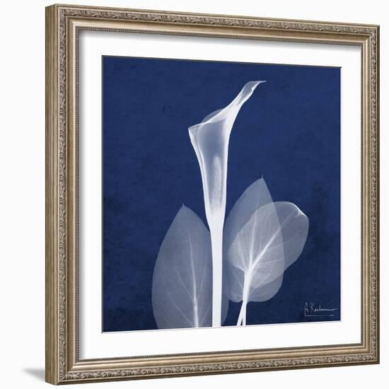 One Indigo Calla Lily-Albert Koetsier-Framed Premium Giclee Print