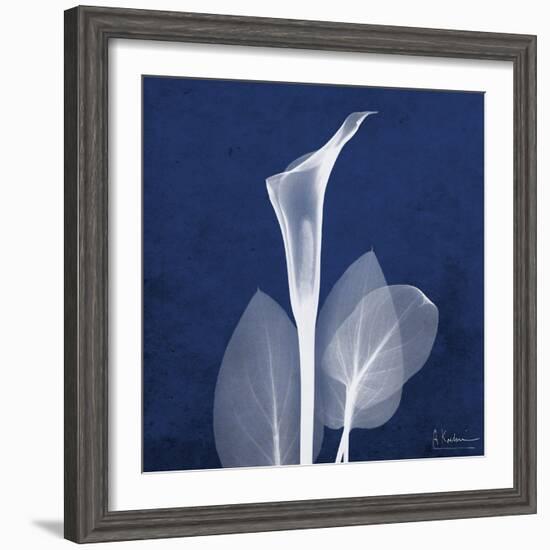 One Indigo Calla Lily-Albert Koetsier-Framed Premium Giclee Print