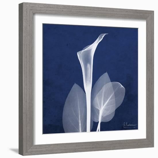 One Indigo Calla Lily-Albert Koetsier-Framed Premium Giclee Print