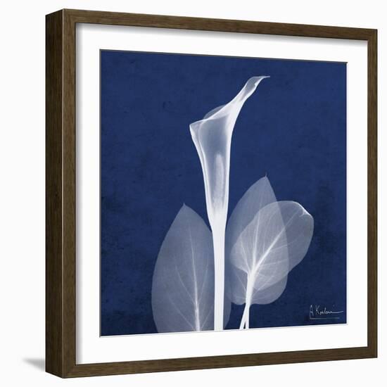 One Indigo Calla Lily-Albert Koetsier-Framed Premium Giclee Print