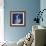 One Indigo Calla Lily-Albert Koetsier-Framed Premium Giclee Print displayed on a wall