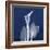 One Indigo Calla Lily-Albert Koetsier-Framed Premium Giclee Print