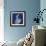 One Indigo Calla Lily-Albert Koetsier-Framed Premium Giclee Print displayed on a wall