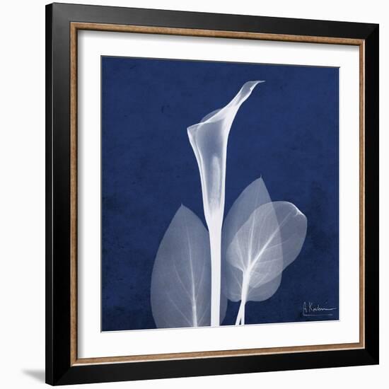 One Indigo Calla Lily-Albert Koetsier-Framed Premium Giclee Print