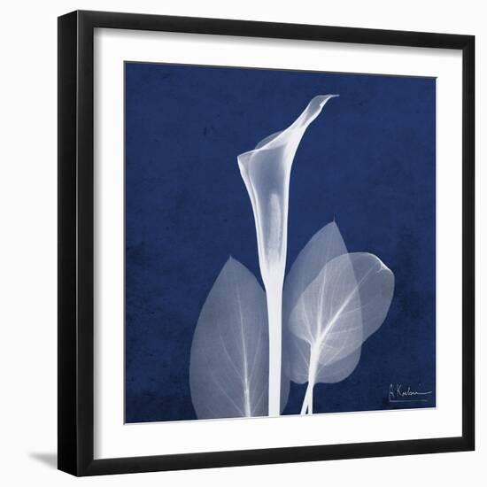 One Indigo Calla Lily-Albert Koetsier-Framed Premium Giclee Print