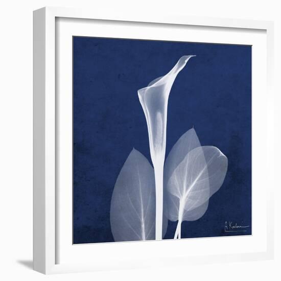 One Indigo Calla Lily-Albert Koetsier-Framed Premium Giclee Print