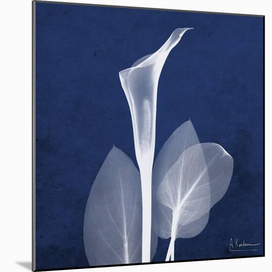 One Indigo Calla Lily-Albert Koetsier-Mounted Premium Giclee Print