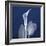 One Indigo Calla Lily-Albert Koetsier-Framed Premium Giclee Print