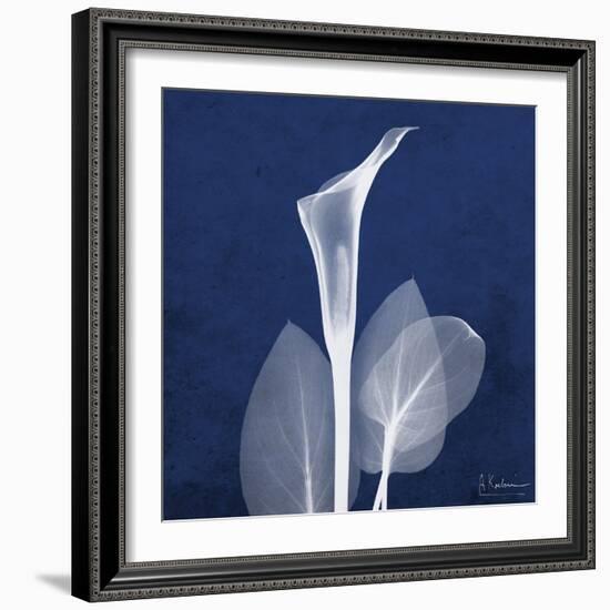 One Indigo Calla Lily-Albert Koetsier-Framed Premium Giclee Print