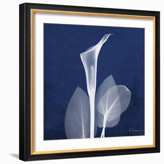 One Indigo Calla Lily-Albert Koetsier-Framed Premium Giclee Print