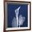 One Indigo Calla Lily-Albert Koetsier-Framed Premium Giclee Print