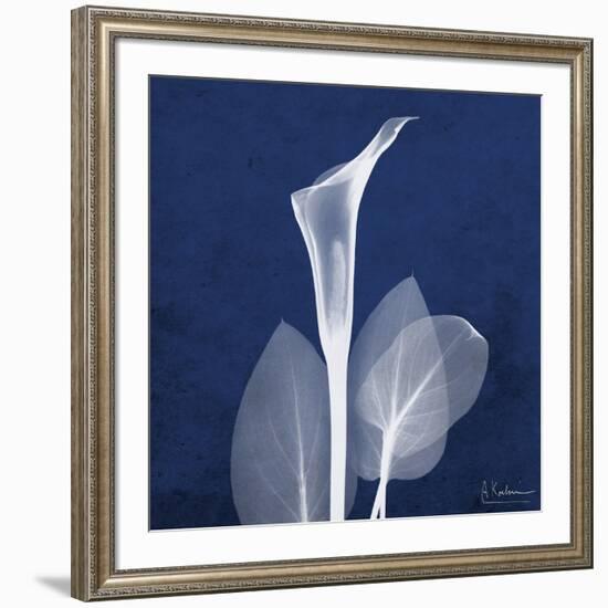 One Indigo Calla Lily-Albert Koetsier-Framed Premium Giclee Print