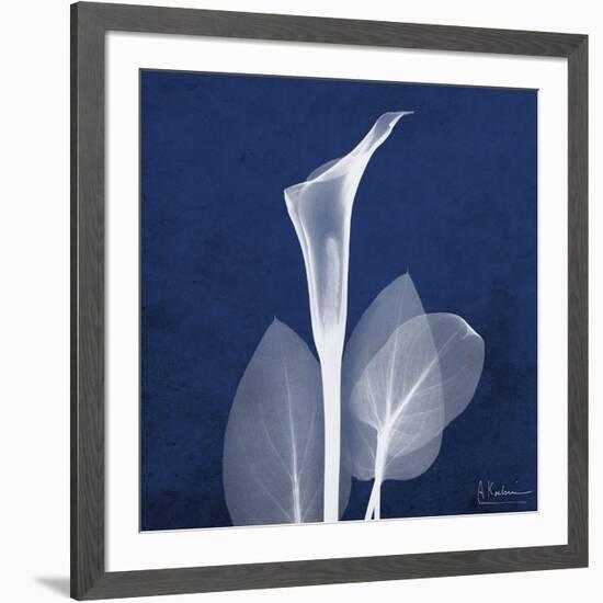 One Indigo Calla Lily-Albert Koetsier-Framed Premium Giclee Print