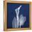 One Indigo Calla Lily-Albert Koetsier-Framed Stretched Canvas