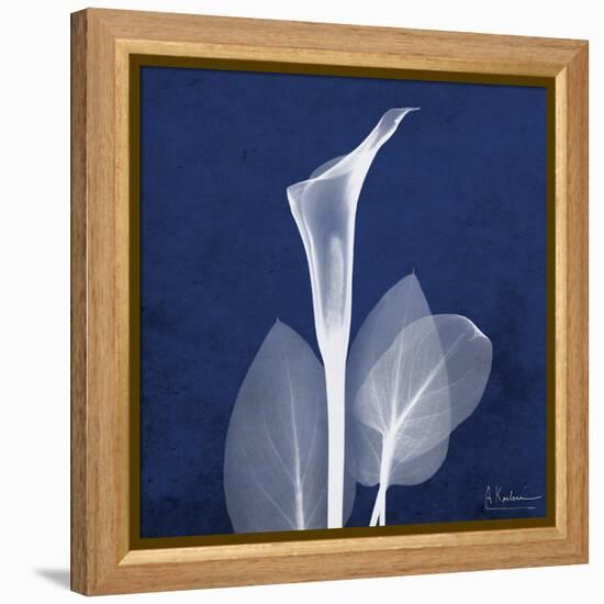 One Indigo Calla Lily-Albert Koetsier-Framed Stretched Canvas